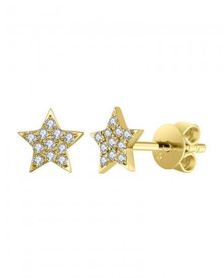 STAR DIAMOND STUDS (TE1094)