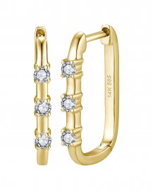 DIAMOND HOOPS (TE2100)