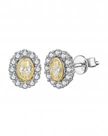 MULTI TONE OVAL DIAMOND STUDS (TE2516)