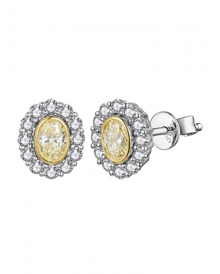 MULTI TONE OVAL DIAMOND STUDS (TE2516)