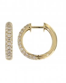 DIAMOND HOOPS (TE281)