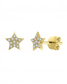 STAR DIAMOND STUDS (TE1094)