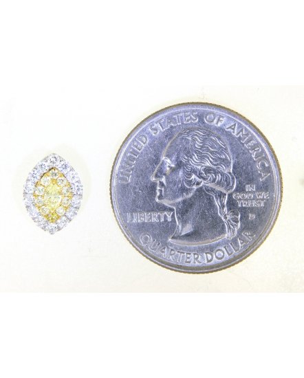 MULTI TONE MARQUISE DIAMOND STUDS (TE1205)