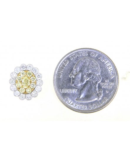 MULTI TONE OVAL DIAMOND STUDS (TE1206)