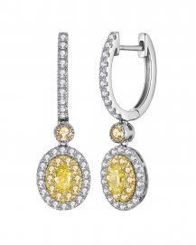 MULTI TONE OVAL DIAMOND DANGLING (TE1209)