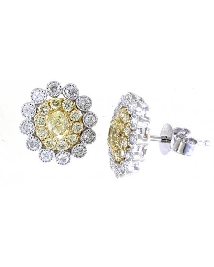 MULTI TONE OVAL DIAMOND STUDS (TE1214)