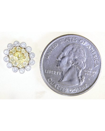 MULTI TONE OVAL DIAMOND STUDS (TE1214)