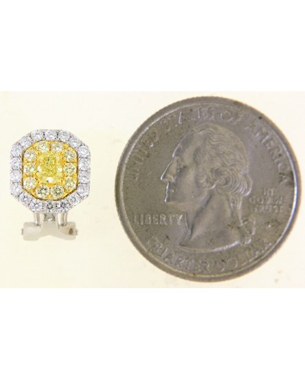 MULTI TONE RADIANT DIAMOND OMEGA BACK (TE1238)