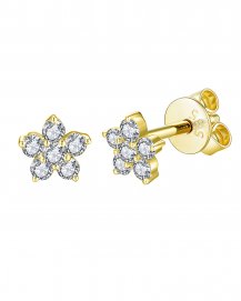 STAR DIAMOND STUDS (TE1257)