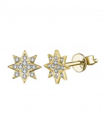 NORTH STAR DIAMOND STUDS (TE1616)