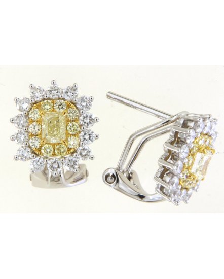 MULTI TONE RADIANT DIAMOND OMEGA BACK (TE1688)