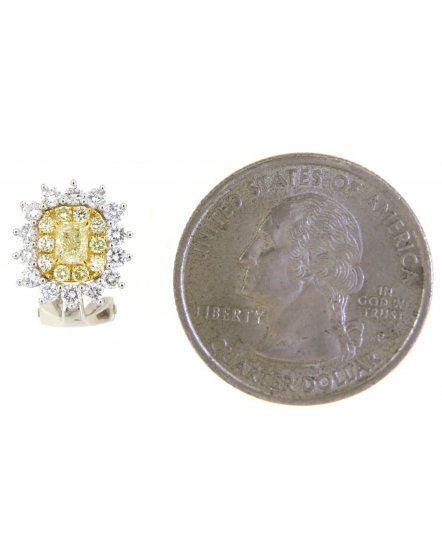 MULTI TONE RADIANT DIAMOND OMEGA BACK (TE1688)