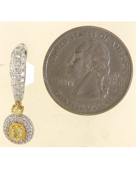 MULTI TONE OVAL DIAMOND DANGLING (TE1706)