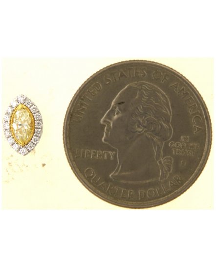 MULTI TONE MARQUISE DIAMOND STUDS (TE1739)