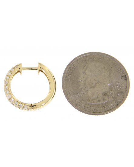 DIAMOND HOOPS (TE281)