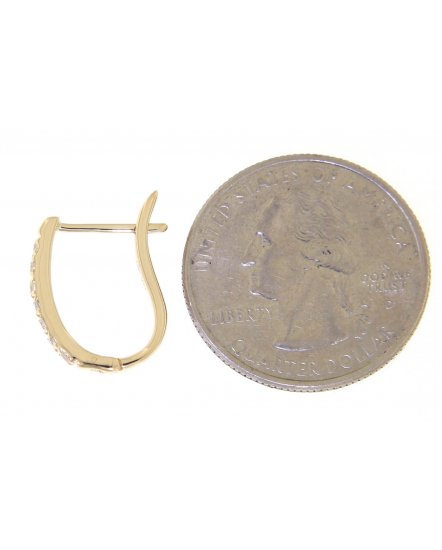 DIAMOND HOOPS (TE467)