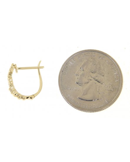 FLORAL STYLE DIAMOND HUGGIES (TE738)