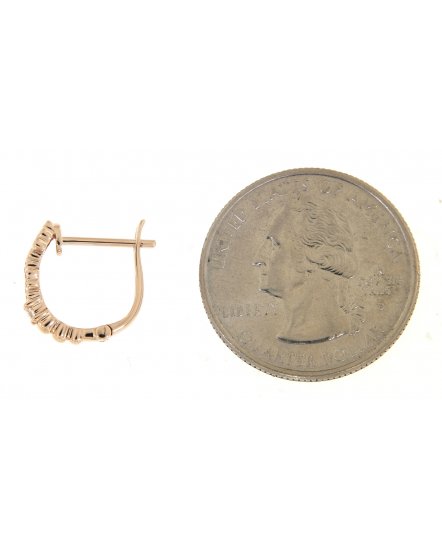 FLORAL STYLE DIAMOND HUGGIES (TE738)