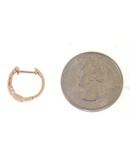 FLORAL STYLE DIAMOND HUGGIES (TE746)