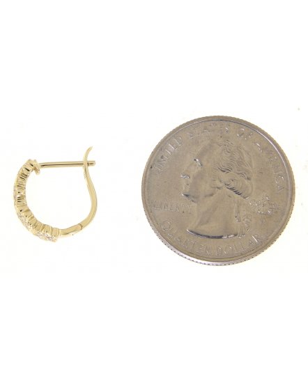 FLORAL STYLE DIAMOND HUGGIES (TE763)