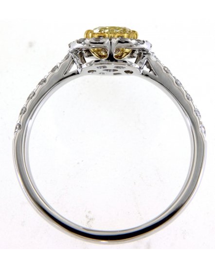 MULTI TONE HEART SHAPE DIAMOND ENGAGEMENT RING (TR5065)